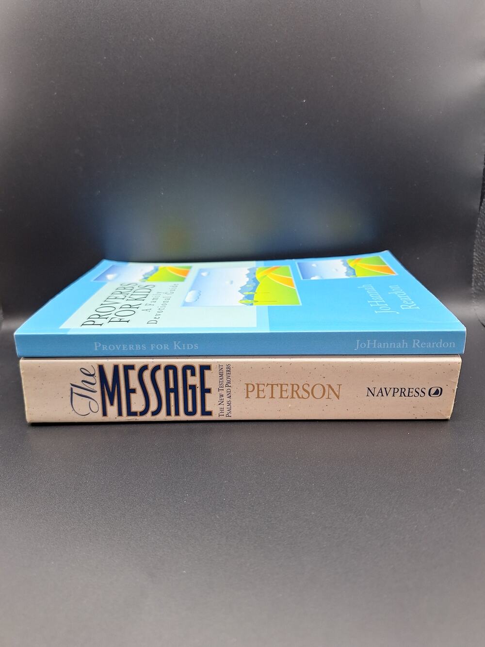 Christian Faith Bible Book Lot The Message Translation Proverbs for Kids